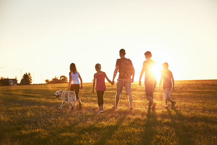 Inheritance Rights
